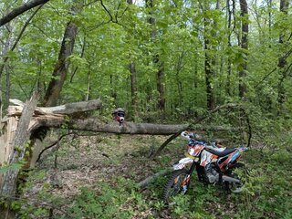 2023 Kayo K1 250 MX, белый, 125000 рублей, вид 1