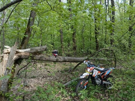 2023 Kayo K1 250 MX, белый, 125000 рублей, вид 1