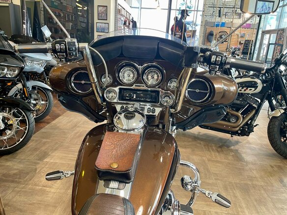 2013 Harley-Davidson Tri Glide, коричневый, 2500000 рублей - вид 10
