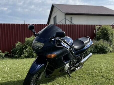 2005 Kawasaki ZZR 400, синий, 210000 рублей, вид 1