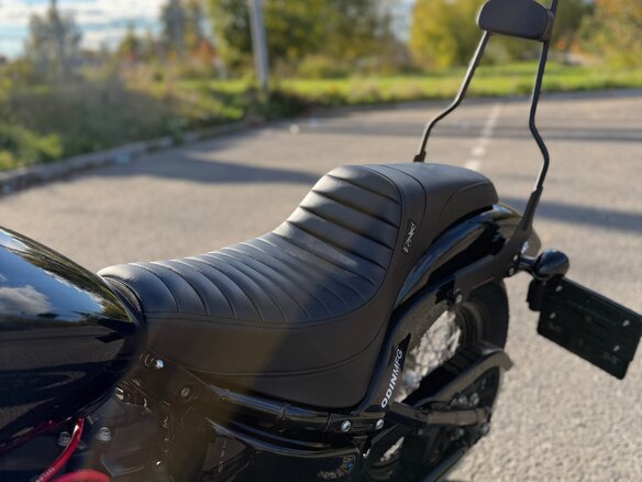 2021 Harley-Davidson Street Bob, серый - вид 9