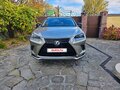2020 Lexus NX 200 I Рестайлинг, серый, 6200000 рублей - вид 1