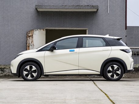2025 BYD Dolphin 44.9 kWh I, бежевый, 1520000 рублей, вид 3