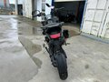 2022 Triumph Tiger 1200, зелёный, 490000 рублей - вид 3