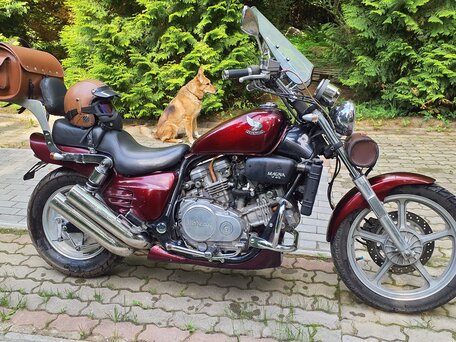 1988 Honda Magna, красный, 560000 рублей, вид 2