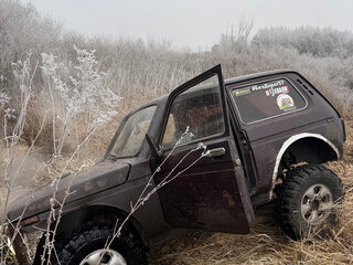 2008 Lada (ВАЗ) 2121 (4x4) I Рестайлинг, коричневый, 170000 рублей, вид 1