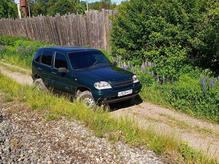 2004 Chevrolet Niva I, зелёный, 250000 рублей, вид 2