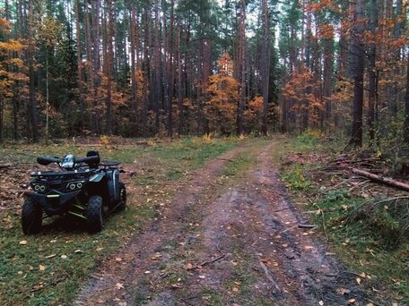 2021 Motoland Wild Track 200, чёрный, 160000 рублей, вид 1