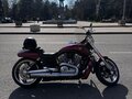 2009 Harley-Davidson V-Rod Muscle, красный, 1450000 рублей - вид 10