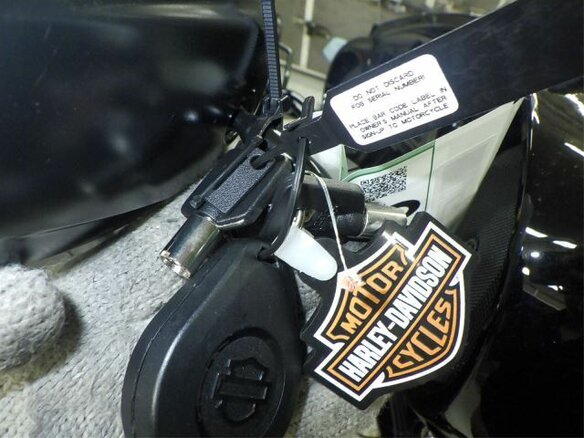 2024 Harley-Davidson Ultra Limited, коричневый - вид 7