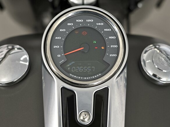 2019 Harley-Davidson Fat Boy, серый, 1977000 рублей - вид 8