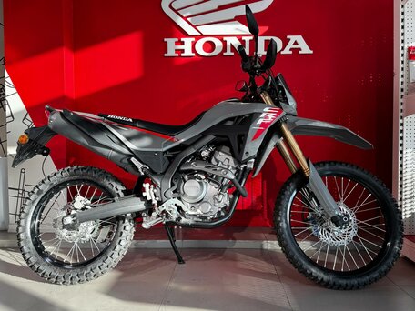 2025 Honda CRF 300L, серый, 891000 рублей, вид 1