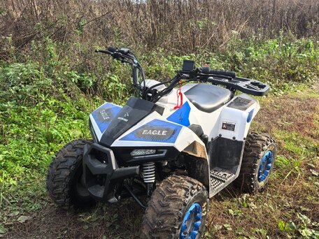 2020 Motoland ATV 110 Eagle, белый, 60000 рублей, вид 1
