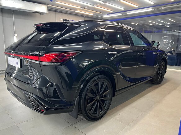 2024 Lexus RX 500h V, чёрный, 11500001 рублей - вид 14