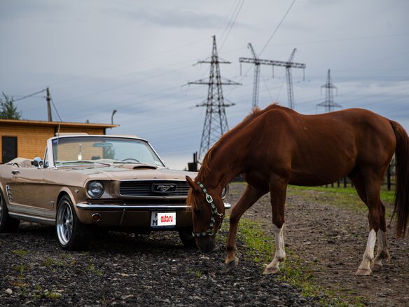1966 Ford Mustang I, золотистый, 12500000 рублей - вид 12
