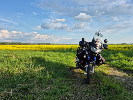 2003 Honda XL1000V Varadero, синий, 500000 рублей, вид 2