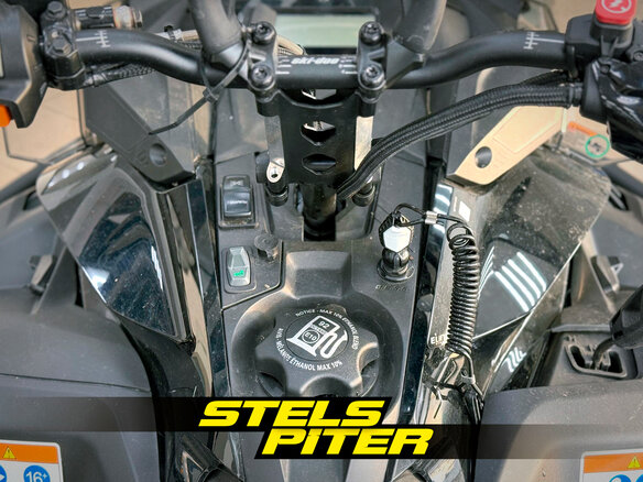 2025 Ski-Doo Expedition, чёрный, 2600000 рублей - вид 5
