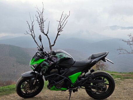 2013 Kawasaki Z 800, зелёный, 580000 рублей, вид 1