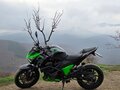 2013 Kawasaki Z 800, зелёный, 580000 рублей