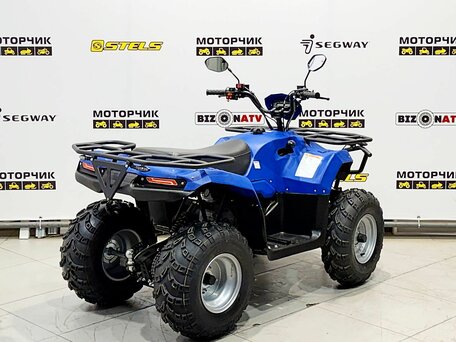 2026 Irbis ATV 200U, синий, 251000 рублей, вид 5