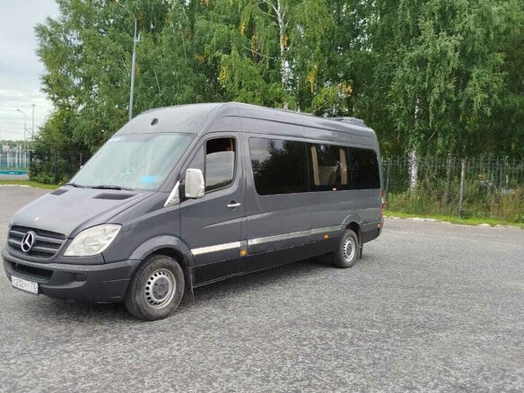 2008 Mercedes-Benz Sprinter, серый, 1700000 рублей - вид 23