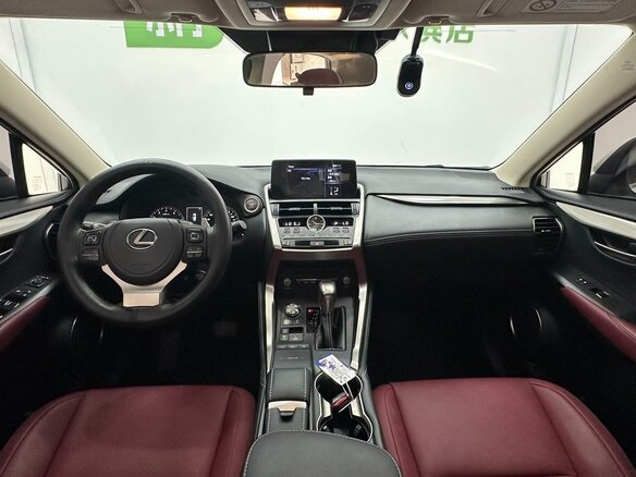 2021 Lexus NX 200 II, белый - вид 12