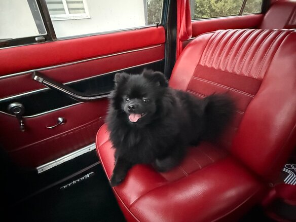 1975 Lada (ВАЗ) 2103, синий - вид 8