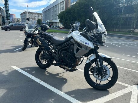 2016 Triumph Tiger 800, белый, 720000 рублей, вид 3