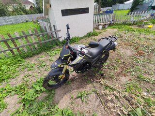 2023 Shineray XY250-11A (COBRA), серый, 108000 рублей, вид 3