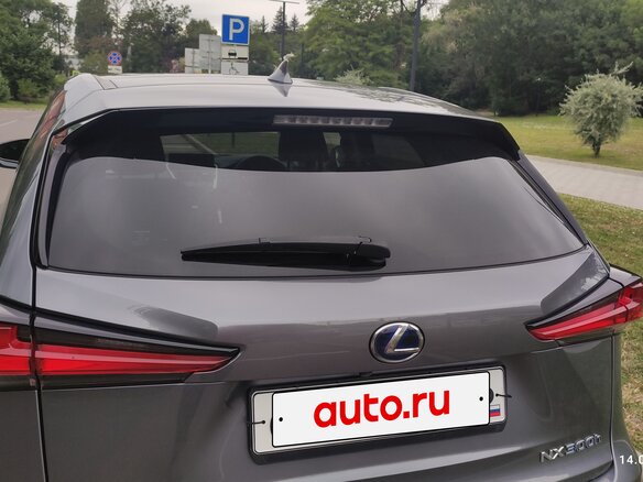 2021 Lexus NX 300h I Рестайлинг, серый - вид 22