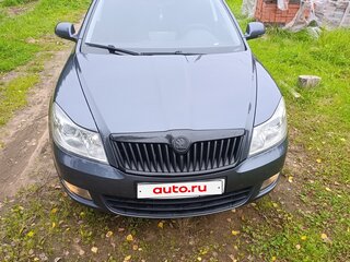 2009 Skoda Octavia II (A5) Рестайлинг, серый, 720000 рублей, вид 2