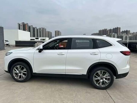 2023 Haval H6 III, белый, 1240000 рублей, вид 4