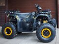 2025 Motax Grizlik 200, жёлтый, 160000 рублей - вид 6