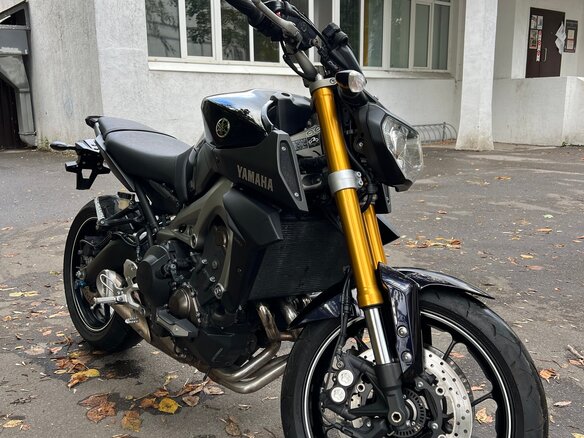 2014 Yamaha MT-09 (FZ-09), фиолетовый - вид 5
