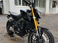 2014 Yamaha MT-09 (FZ-09), фиолетовый - вид 5