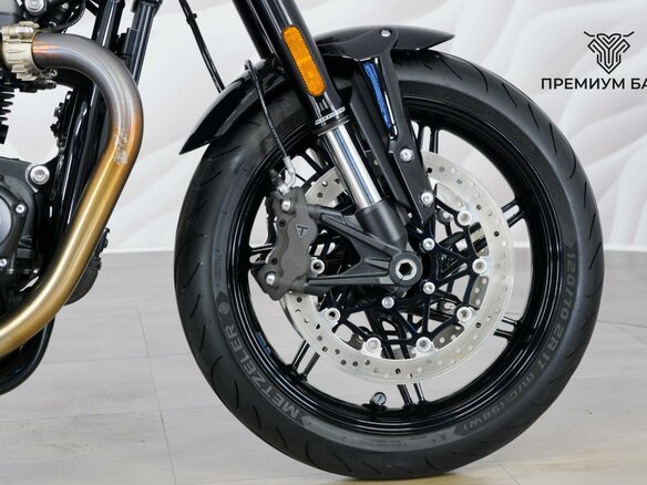 2025 Triumph Speed Twin, серебристый, 1449000 рублей - вид 10