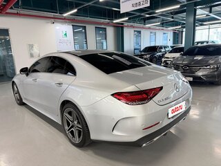 2020 Mercedes-Benz CLS 300 d III (C257), серебристый, 4999999 рублей, вид 5