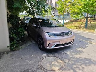 2023 BYD Dolphin 44.9 kWh I, розовый, 1650000 рублей, вид 5