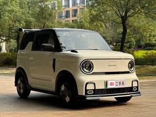 2025 Geely Panda Mini I, белый, 1183257 рублей, вид 3