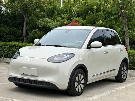 Wuling Binguo