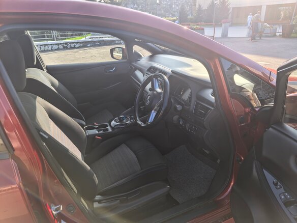 2018 Nissan Leaf II (ZE1), красный, 1830000 рублей - вид 8