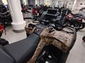 2026 Loncin XWolf 1000L Muddy, бежевый, 1399000 рублей - вид 8