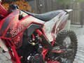 2025 Darex Alga 300, красный, 210000 рублей - вид 8