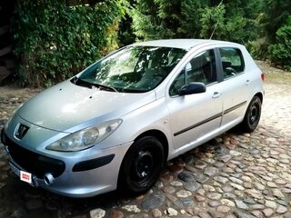 2006 Peugeot 307 I Рестайлинг, серый, 220000 рублей, вид 1