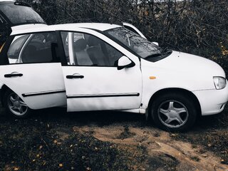 2011 Lada (ВАЗ) Kalina I, белый, 270000 рублей, вид 4