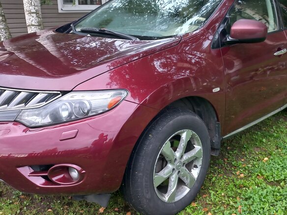 2009 Nissan Murano II (Z51), красный - вид 11