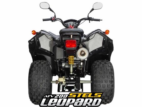 2026 Stels ATV-200 Леопард, серый, 305000 рублей, вид 5