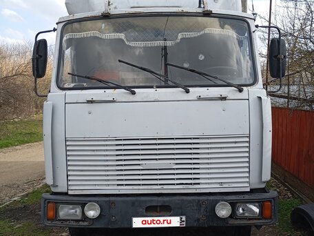 2002 МАЗ 4370, серый, 795000 рублей, вид 1