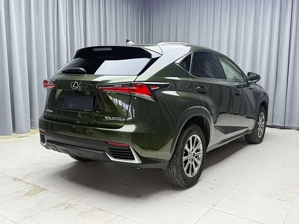 2021 Lexus NX 200 I Рестайлинг, зелёный, 3290023 рублей - вид 7