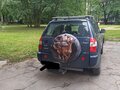 2012 Chery Tiggo (T11) I, синий, 275000 рублей - вид 2